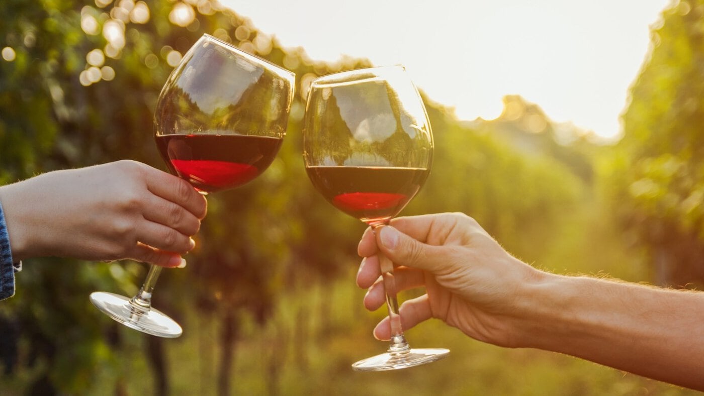 Two people toast with wine glasses in a sunlit vineyard.