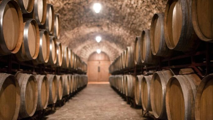 A hallway in a winery cellar filled with oak barrels of aging wine.